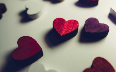 Welcome to the New 2026 Board Members